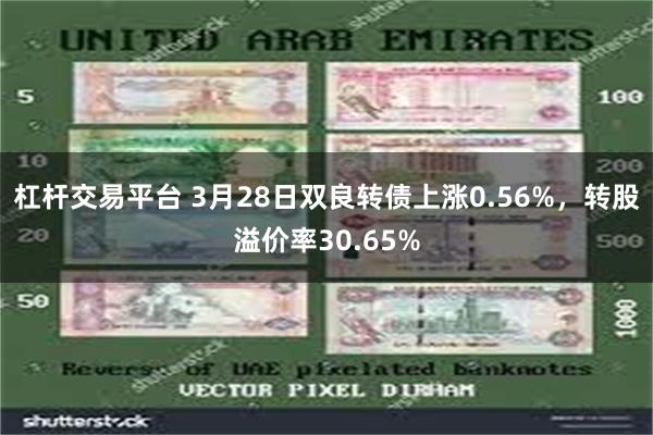 杠杆交易平台 3月28日双良转债上涨0.56%，转股溢价率30.65%