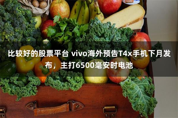 比较好的股票平台 vivo海外预告T4x手机下月发布，主打6500毫安时电池
