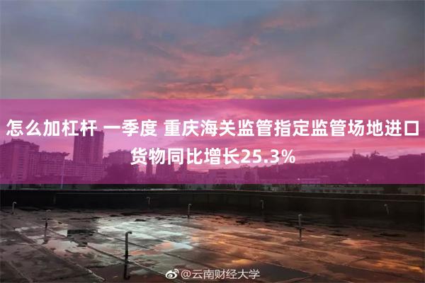 怎么加杠杆 一季度 重庆海关监管指定监管场地进口货物同比增长25.3%