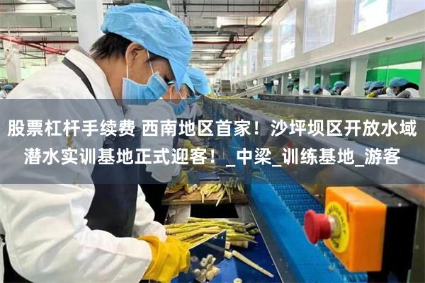 股票杠杆手续费 西南地区首家！沙坪坝区开放水域潜水实训基地正式迎客！_中梁_训练基地_游客