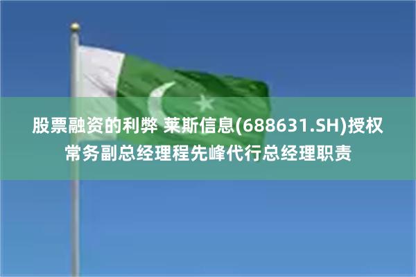 股票融资的利弊 莱斯信息(688631.SH)授权常务副总经理程先峰代行总经理职责