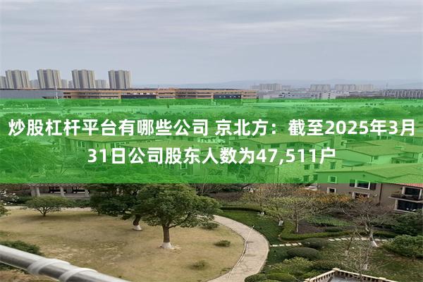 炒股杠杆平台有哪些公司 京北方：截至2025年3月31日公司股东人数为47,511户