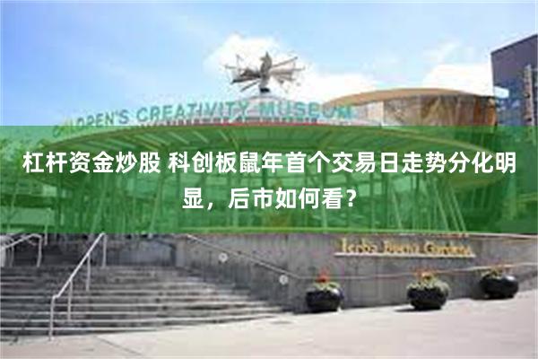 杠杆资金炒股 科创板鼠年首个交易日走势分化明显，后市如何看？