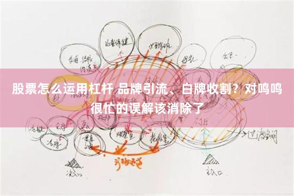 股票怎么运用杠杆 品牌引流、白牌收割？对鸣鸣很忙的误解该消除了