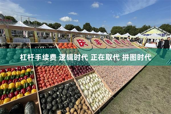 杠杆手续费 逻辑时代 正在取代 拼图时代