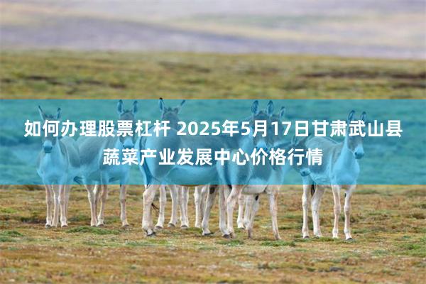 如何办理股票杠杆 2025年5月17日甘肃武山县蔬菜产业发展中心价格行情