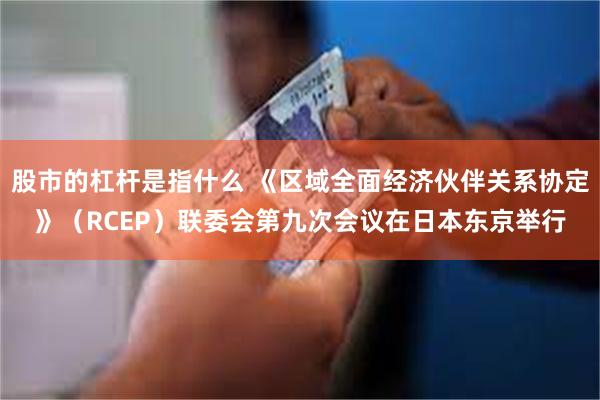 股市的杠杆是指什么 《区域全面经济伙伴关系协定》（RCEP）联委会第九次会议在日本东京举行