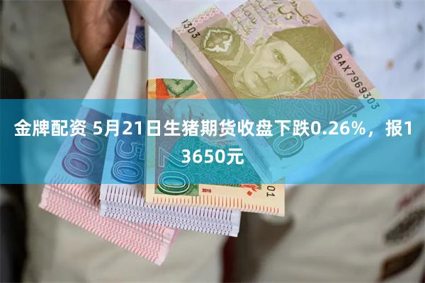 金牌配资 5月21日生猪期货收盘下跌0.26%，报13650元