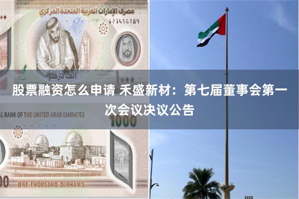股票融资怎么申请 禾盛新材：第七届董事会第一次会议决议公告