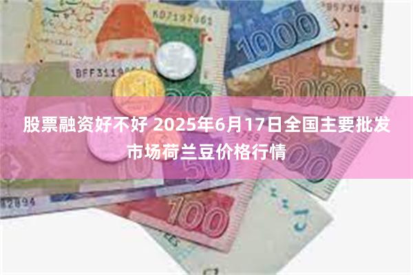 股票融资好不好 2025年6月17日全国主要批发市场荷兰豆价格行情