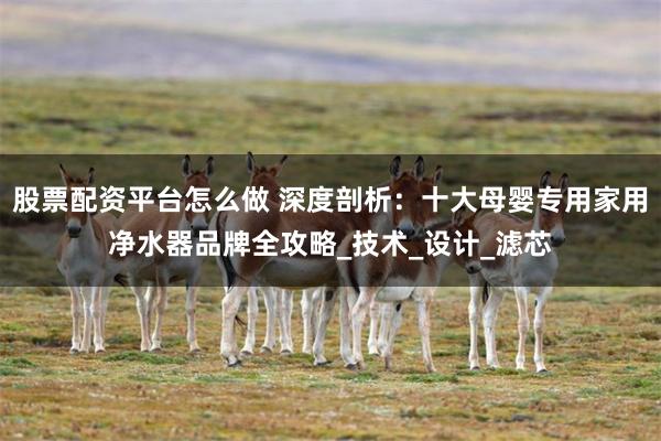 股票配资平台怎么做 深度剖析：十大母婴专用家用净水器品牌全攻略_技术_设计_滤芯