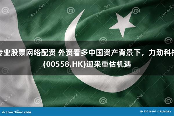 专业股票网络配资 外资看多中国资产背景下，力劲科技(00558.HK)迎来重估机遇