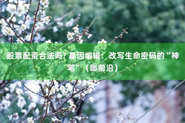 股票配资合法吗? 基因编辑：改写生命密码的“神笔”（瞰前沿）