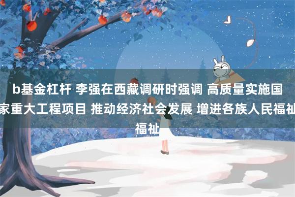b基金杠杆 李强在西藏调研时强调 高质量实施国家重大工程项目 推动经济社会发展 增进各族人民福祉