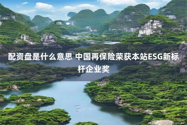 配资盘是什么意思 中国再保险荣获本站ESG新标杆企业奖