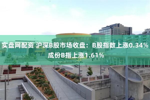 实盘网配资 沪深B股市场收盘：B股指数上涨0.34% 成份B指上涨1.61%